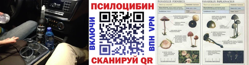 закладка  Электросталь  Псилоцибиновые грибы мухоморы 